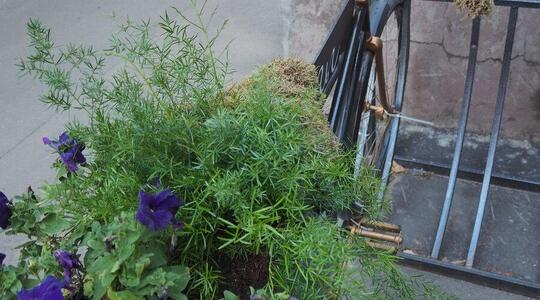 Рассвет - Офисная недвижимость