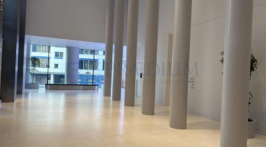 STONE Towers, башня C - Офисная недвижимость